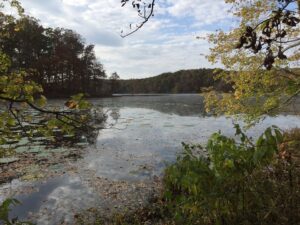 Kentucky Lake