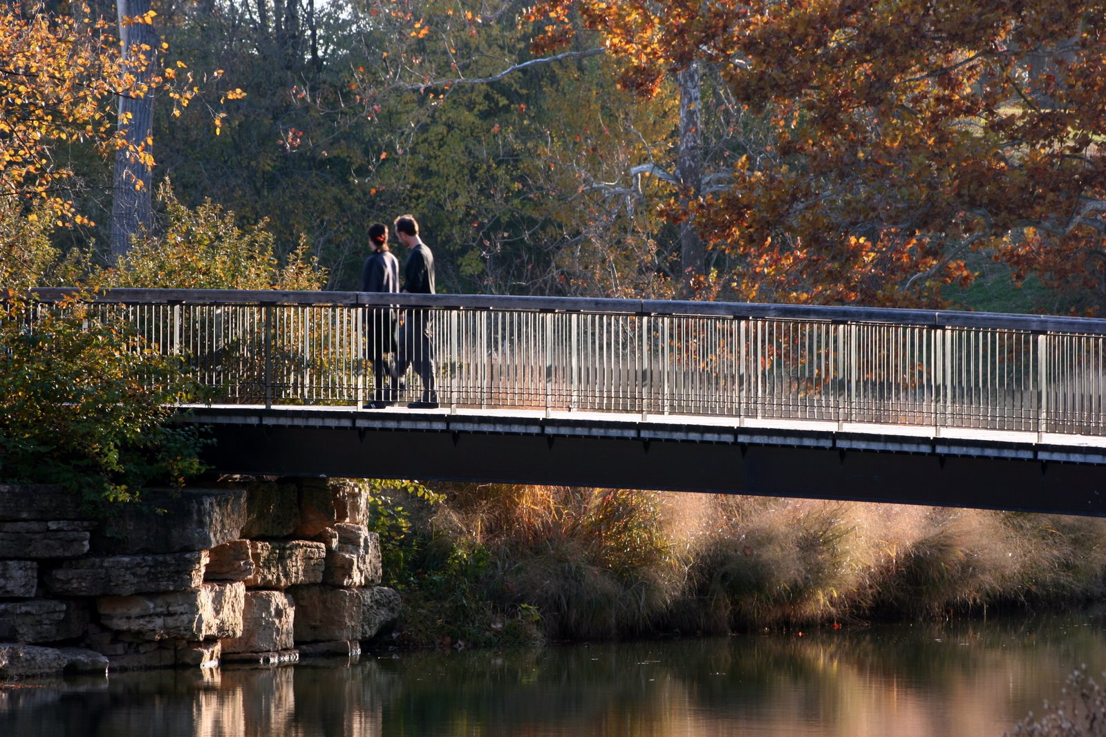 St. Louis vacation rentals: a walking bridge in Forest Park in autumn
